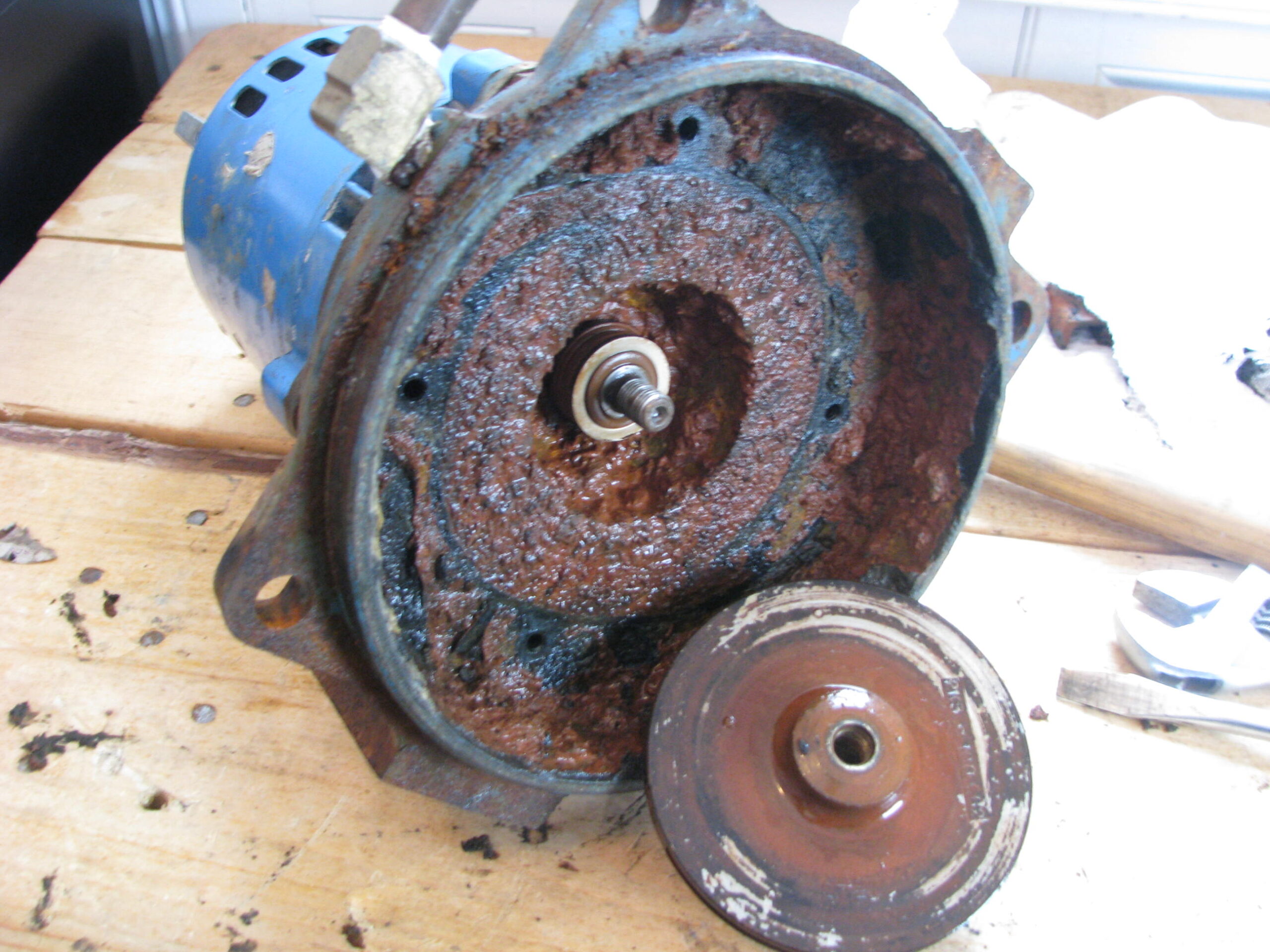 Real photograph of mineral buildup on a disassembled water pump